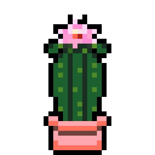 Blooming Cactus
