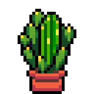 Cactus